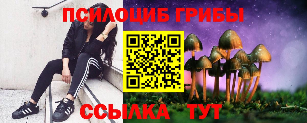 Ейск  Галлюциногенные грибы MAGIC MUSHROOMS  где продают   Псилоцибиновые грибы ЛСД  Вход с VPN 