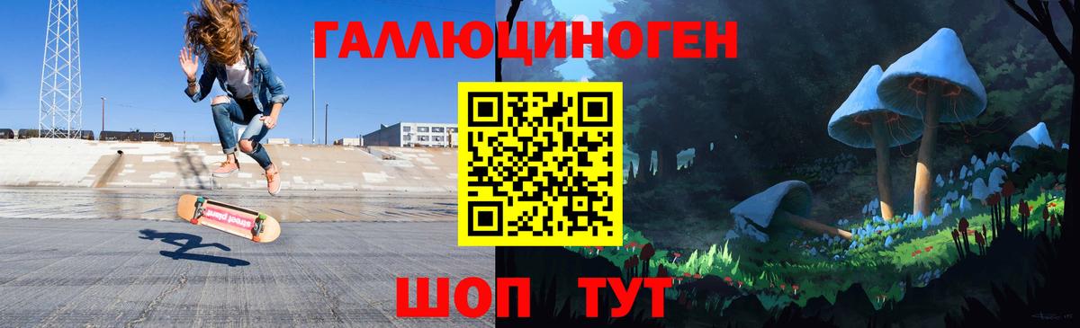 Псилоцибиновые грибы Psilocybine cubensis Ейск